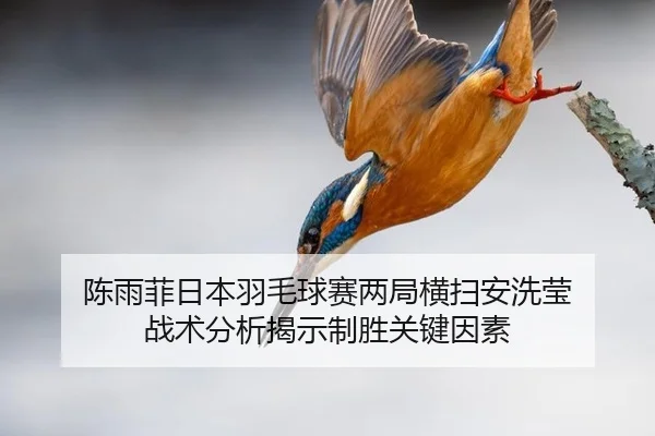 chen-yu-fei-ri-ben-yu-mao-qiu-sai-liang-ju-heng-sao-an-xi-ying-zhan-shu-fen-xi-jie-shi-zhi-sheng-guan-jian-yin-su-3-280.jpg